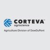 recomandarea Corteva, protectia culturii de floarea soarelui