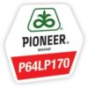P64LP170, campionul absolut, Corteva Agriscience